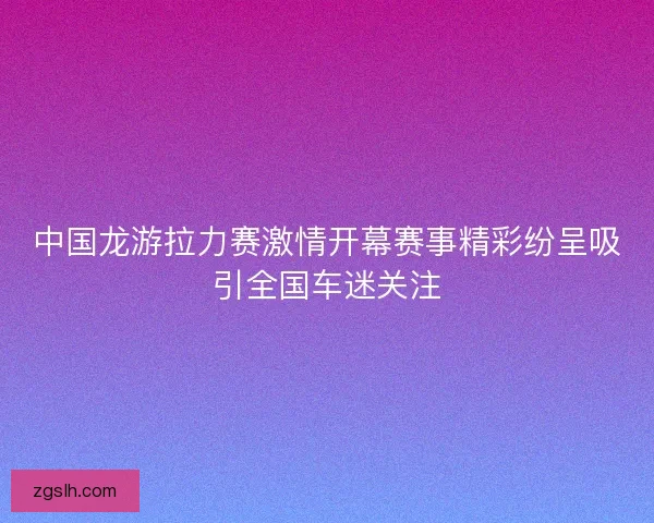 中国龙游拉力赛激情开幕赛事精彩纷呈吸引全国车迷关注 中国龙游拉力赛激情开幕赛事精彩纷呈吸引全国车迷关注