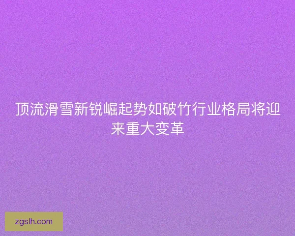 顶流滑雪新锐崛起势如破竹行业格局将迎来重大变革