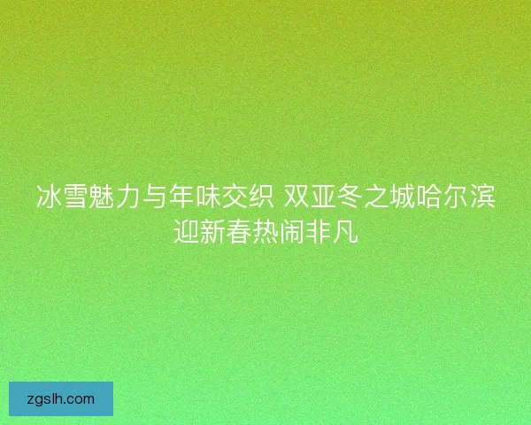 冰雪魅力与年味交织 双亚冬之城哈尔滨迎新春热闹非凡